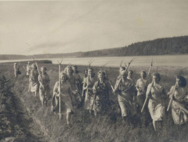 Women taking part in voluntary work in the countryside